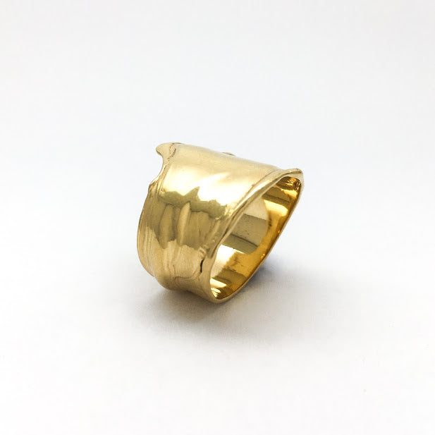 Fluid Band