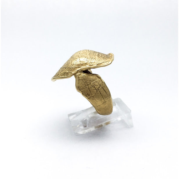 Anthropological Fragments
