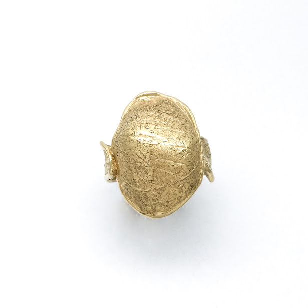 Anthropological Fragments