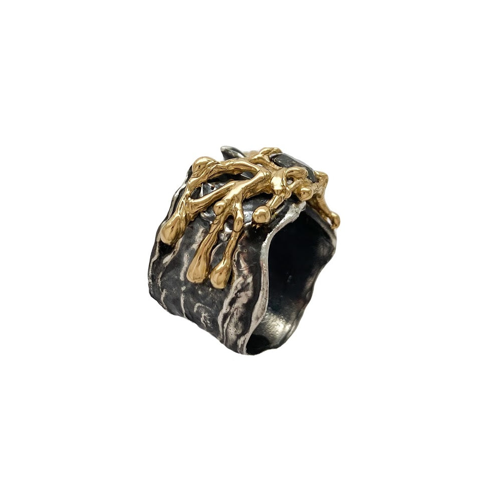Gold lace over a fluid silver band set with a natural black diamond